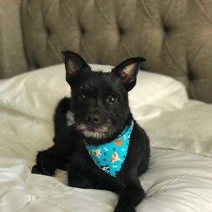 Meet your Posher, Yuliana